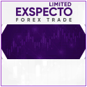 EXSPECTO LIMITED